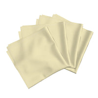 Ainsley Cloth Dinner Napkins (Set of 4)